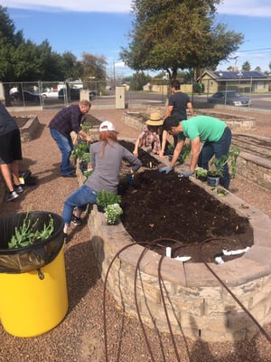 LT garden team