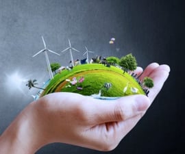 sustainability in a hand