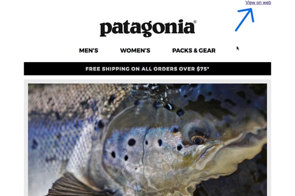 Patagonia Email