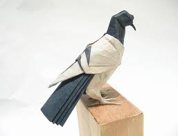 paper pigeon