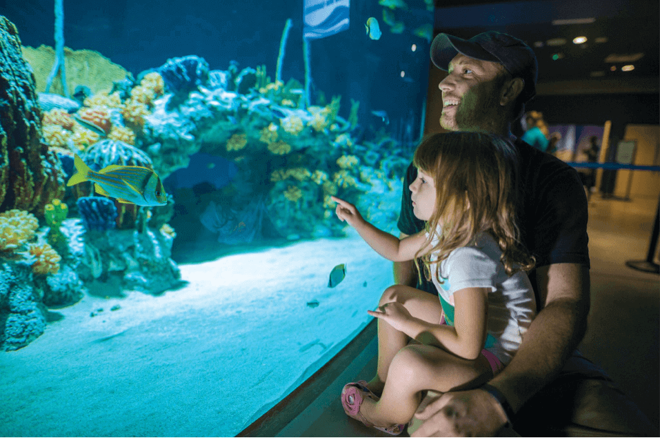 A family enjoying the OdySea aquarium fish