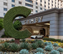 the-camby-image